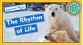 Biological Clocks and the Rhythm of Life - Lesson Plan by Nature League on LabXchange