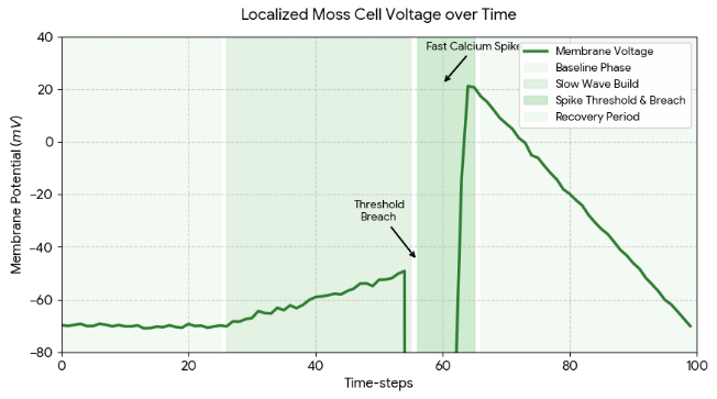 Graph image
